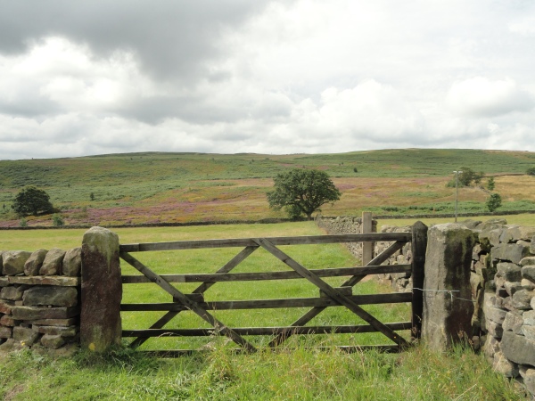View of Baildon Moor from Sconce Lane.